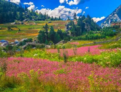 Sangla Valley